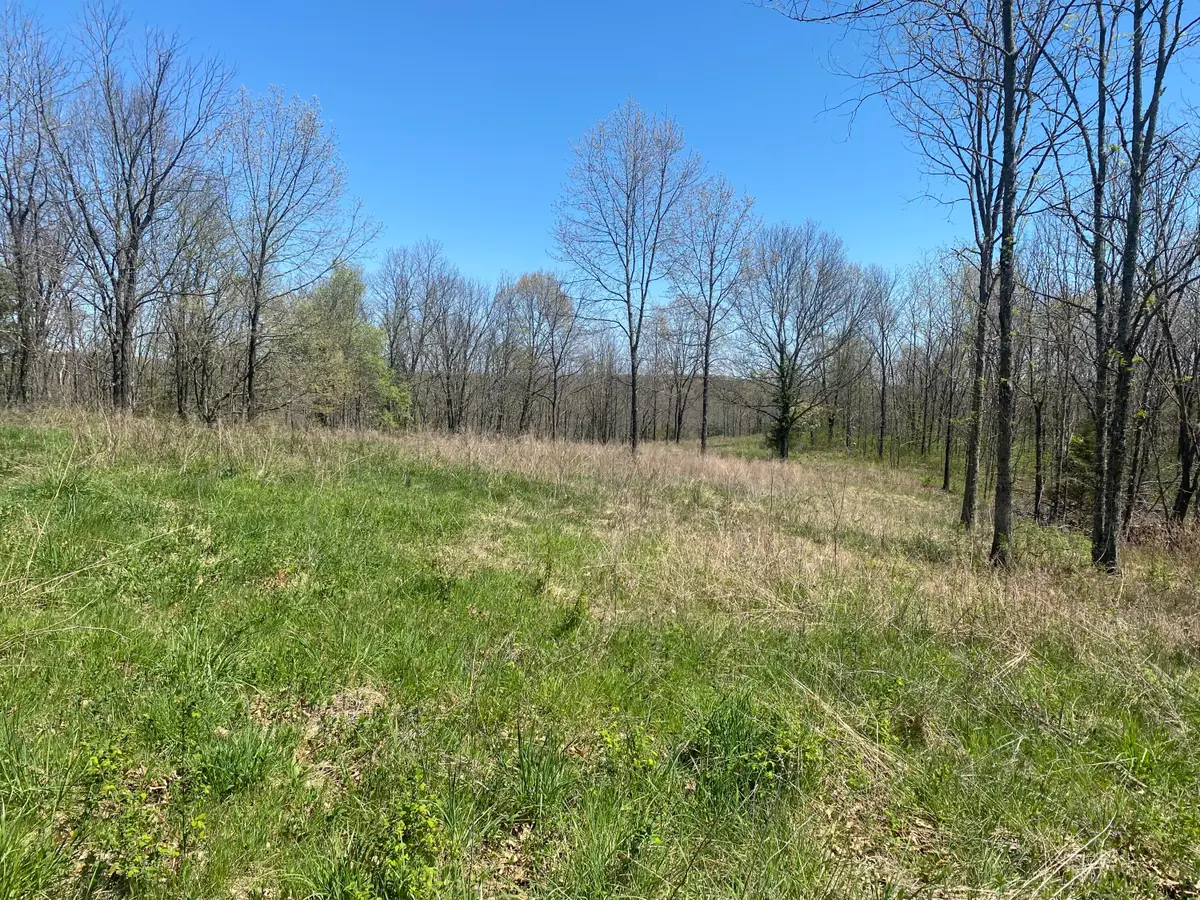 000 Joshua Tree Road, Highlandville, MO 65669 - Image #1