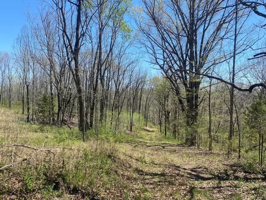 000 Joshua Tree Road, Highlandville, MO 65669 - Image #2