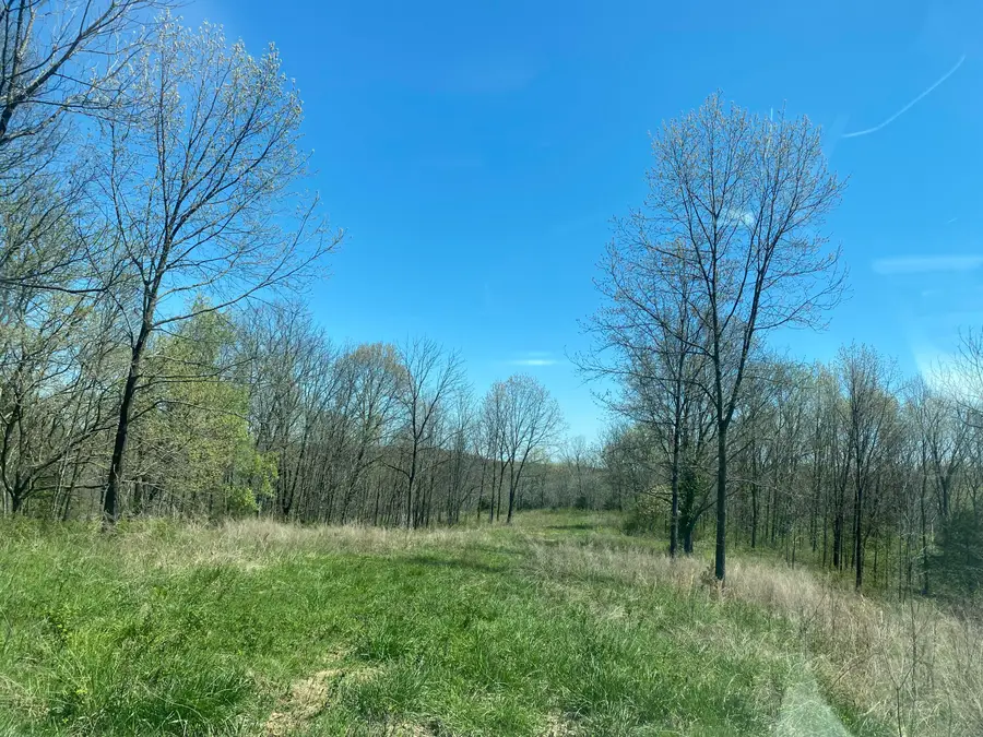 000 Joshua Tree Road, Highlandville, MO 65669 - Image #3