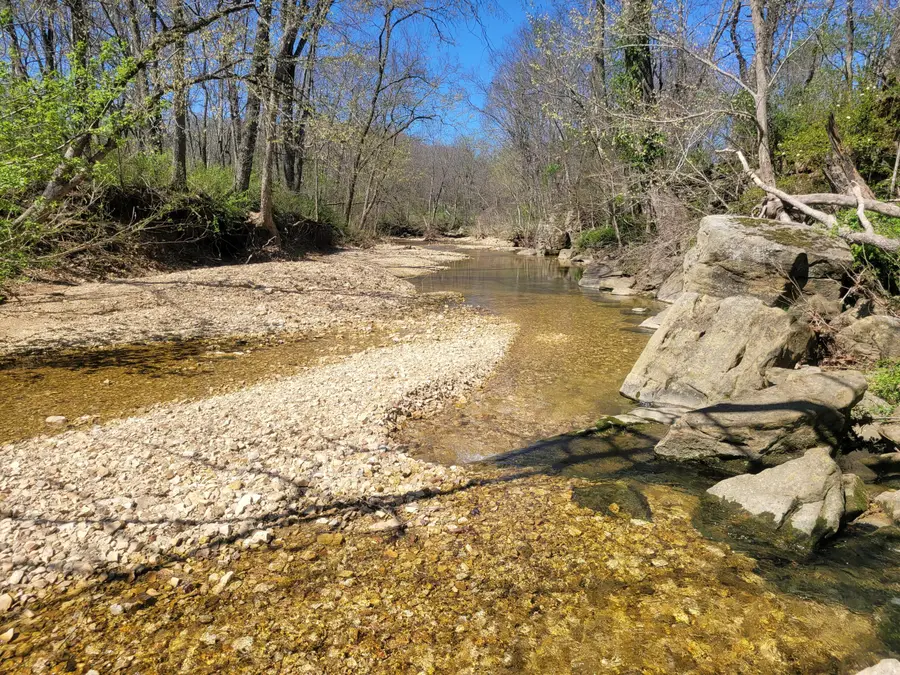 Tract A-3 Stewerd Drive, Fordland, MO 65652 - Image #2