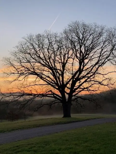 24461 Scenic Valley Drive, Cassville, MO 65625 - Image #3