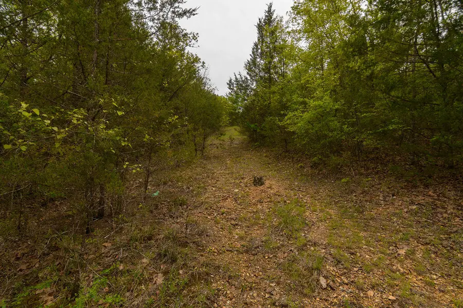 Tbd Catfish Street, Kissee Mills, MO 65680 - Image #3