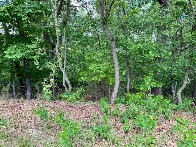 1303 View Park Circle, Horseshoe Bend, AR 72512 - Image #3