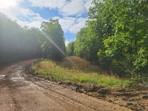 Tbd County Road 804, Gainesville, MO 65655