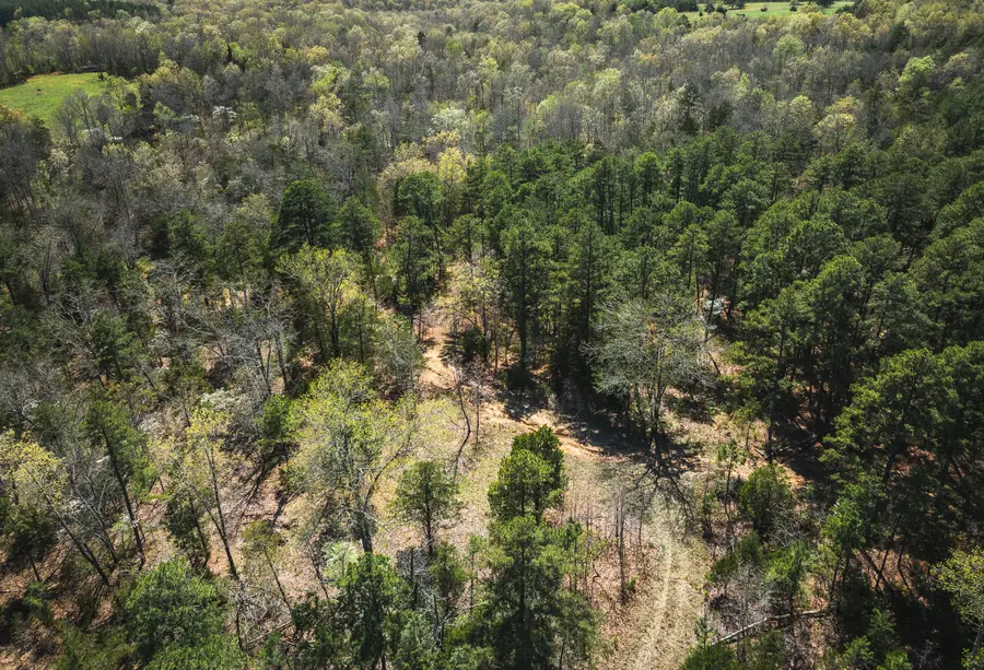 000 Forest Service Rd 1792, Beulah, MO 65436 - Image #3