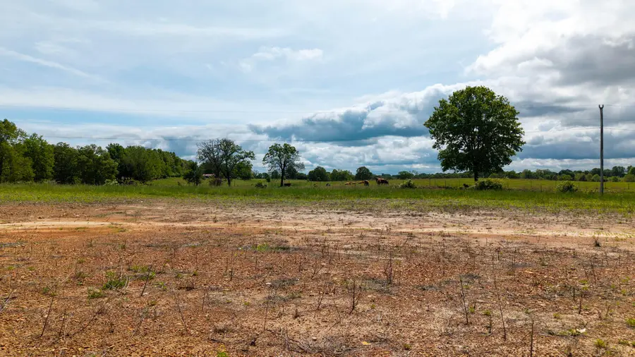 Tbd Mo-19, Thayer, MO 65791 - Image #3