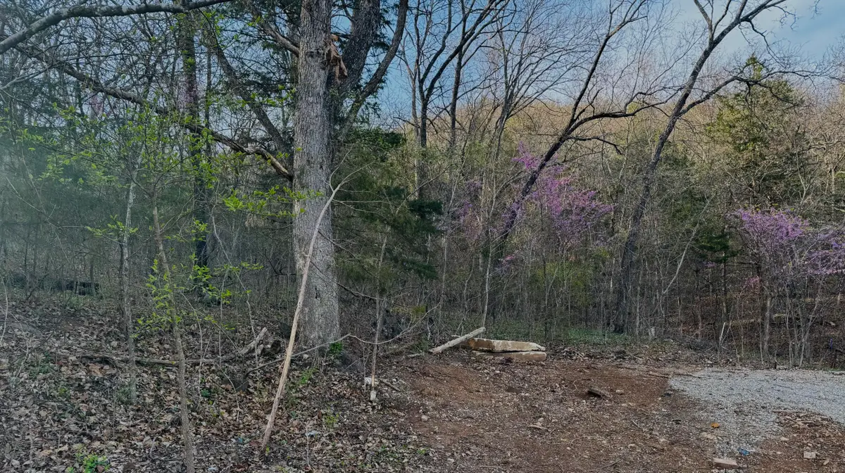 112 Mill Bridge, Lampe, MO 65681 - Image #1