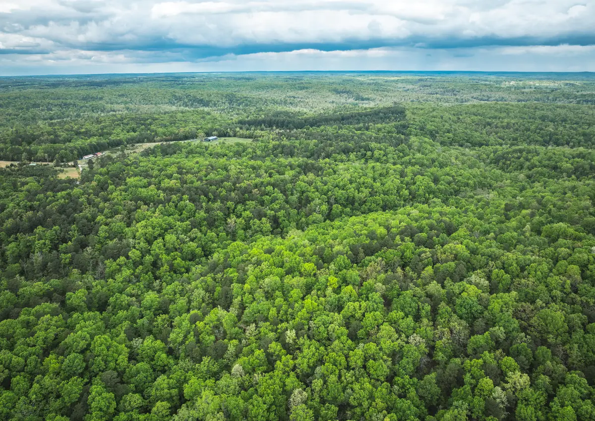 20623 W Ashley Creek Road, Raymondville, MO 65555 - Image #1