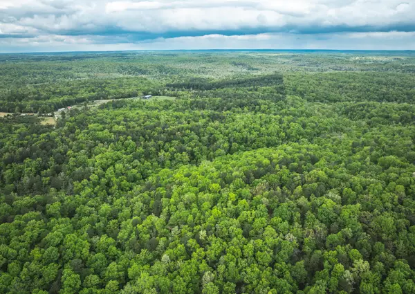 20623 W Ashley Creek Road, Raymondville, MO 65555