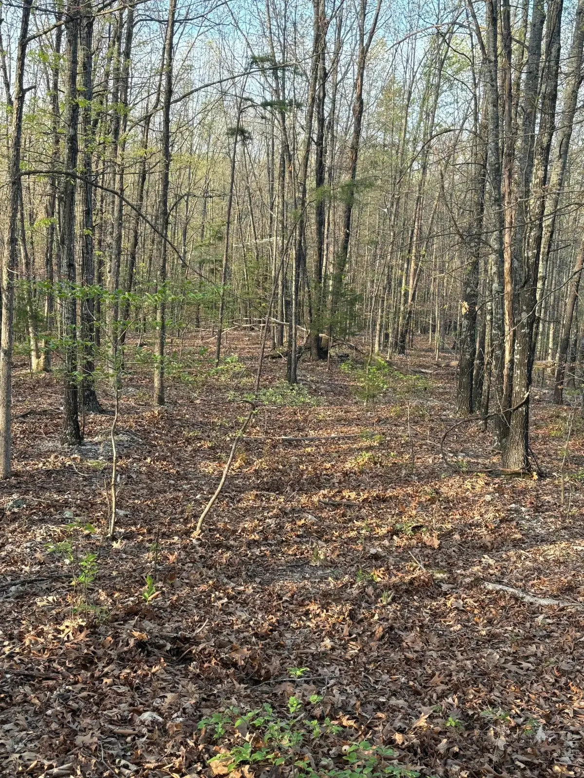 000 County Road Ha, Eminence, MO 65466 - Image #1