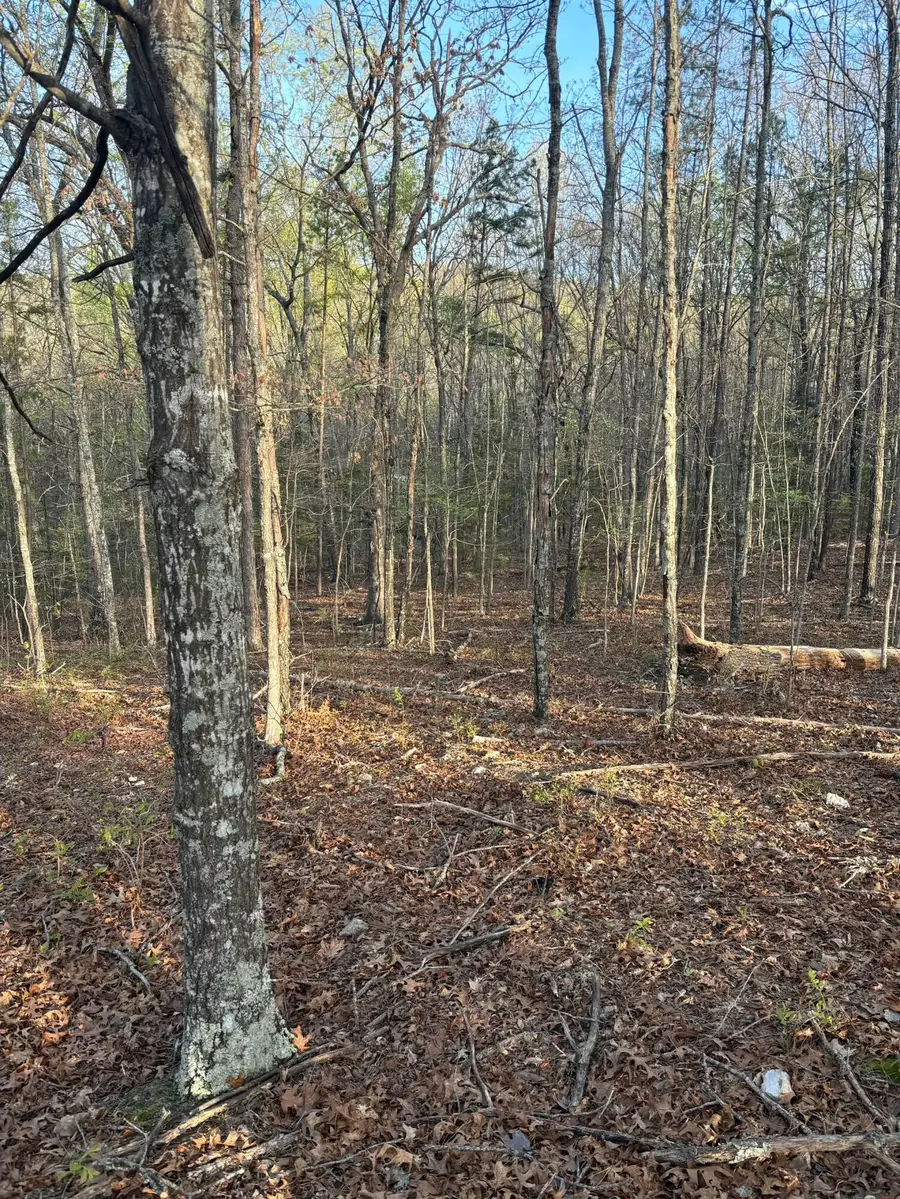 000 County Road Ha, Eminence, MO 65466 - Image #3