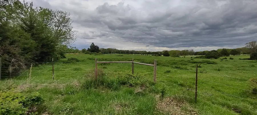 000 Tract 1 & Tract 2, Diggins, MO 65636 - Image #2