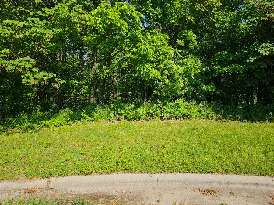 Lot 6 Fox Haven Drive, Mount Vernon, MO 65712 - Image #2