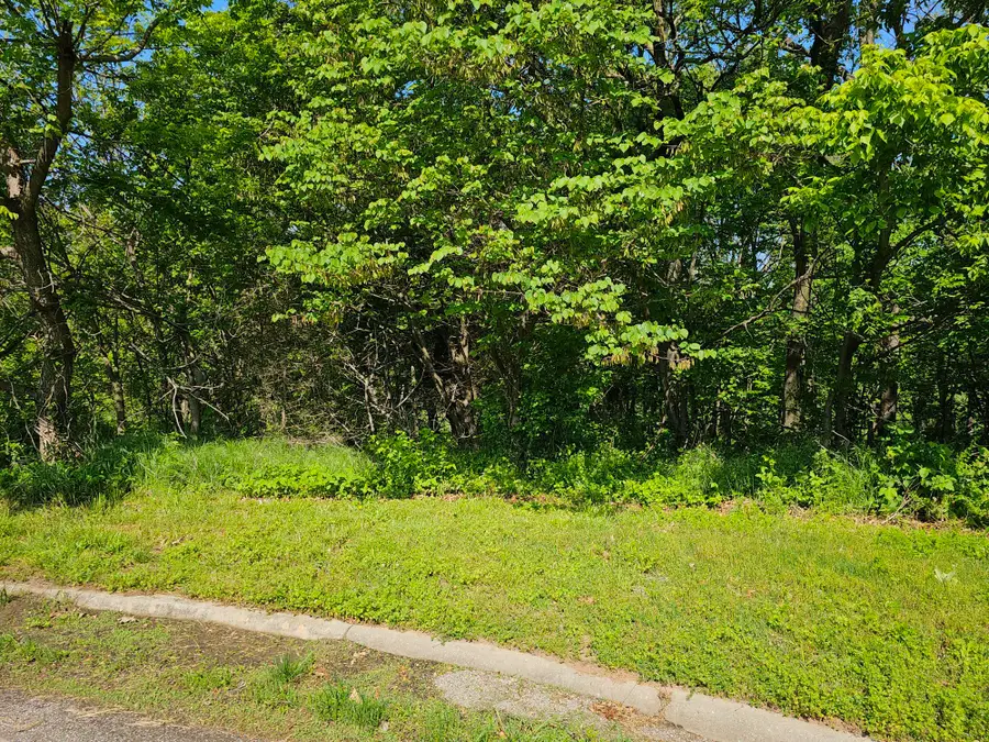 Lot 6 Fox Haven Drive, Mount Vernon, MO 65712 - Image #3