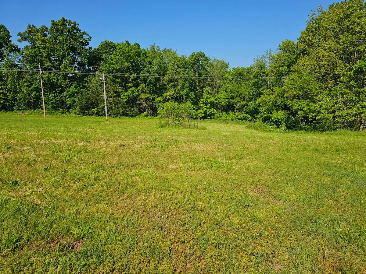 Lot 7 Fox Haven Drive, Mount Vernon, MO 65712 - Image #1