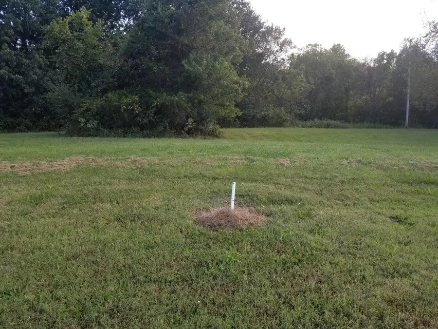 Lot 10 Fox Haven Drive, Mount Vernon, MO 65712 - Image #2