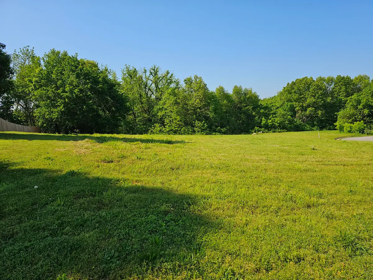 Lot 11 Fox Haven Drive, Mount Vernon, MO 65712 - Image #1