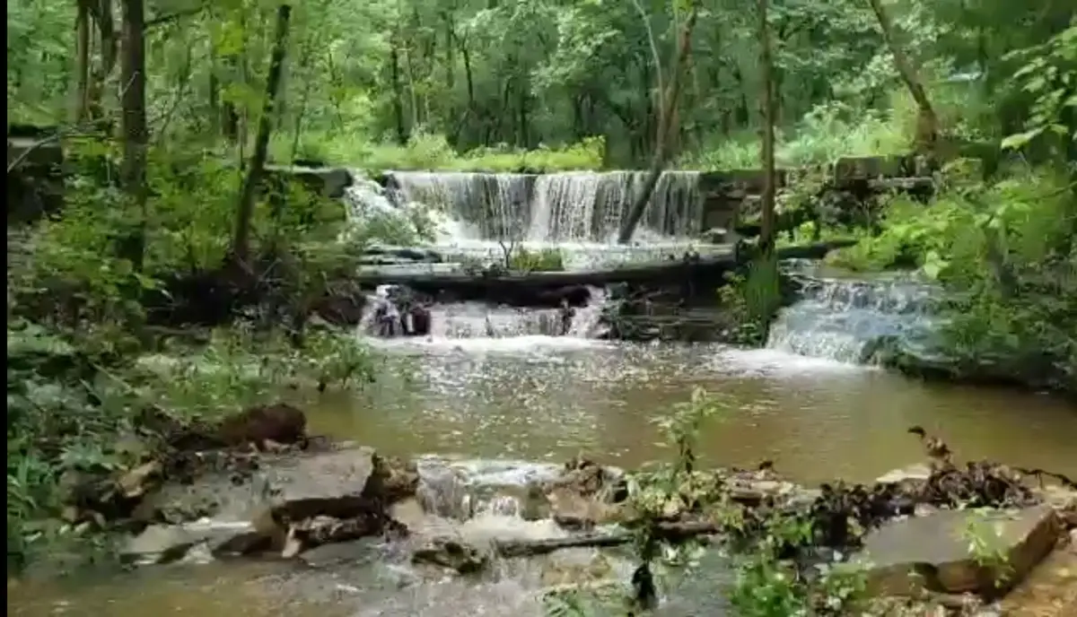 30745 Sawmill Road, Edwards, MO 65326 - Image #1