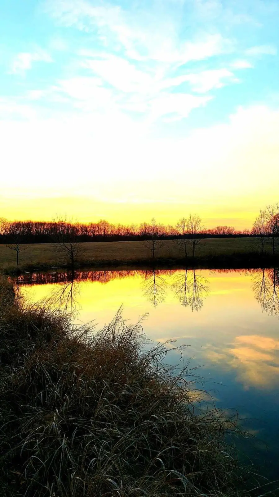 30745 Sawmill Road, Edwards, MO 65326 - Image #3