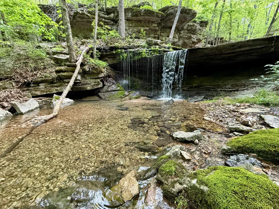 143 Horton Road, Rocky Comfort, MO 64861 - Image #2