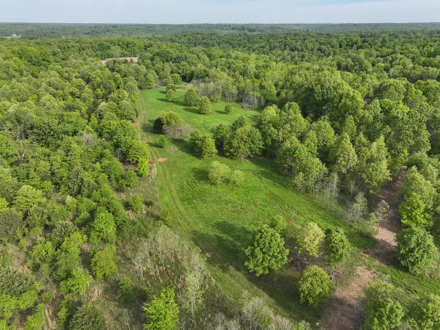 143 Horton Road, Rocky Comfort, MO 64861 - Image #3