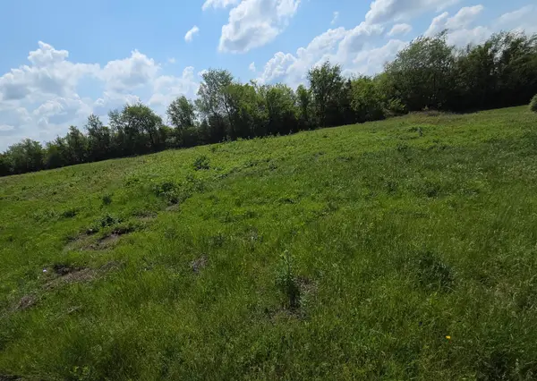 970 N Autin Lane #Lot 5, Republic, MO 65738