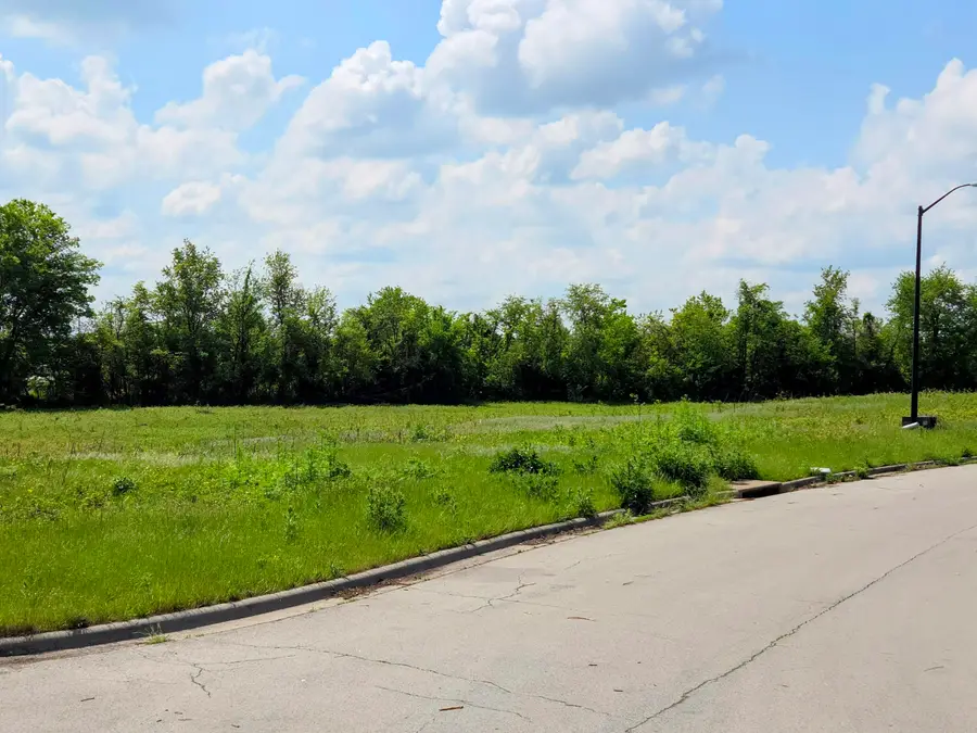 1020 N Austin Lane #Lot 7, Republic, MO 65738 - #3