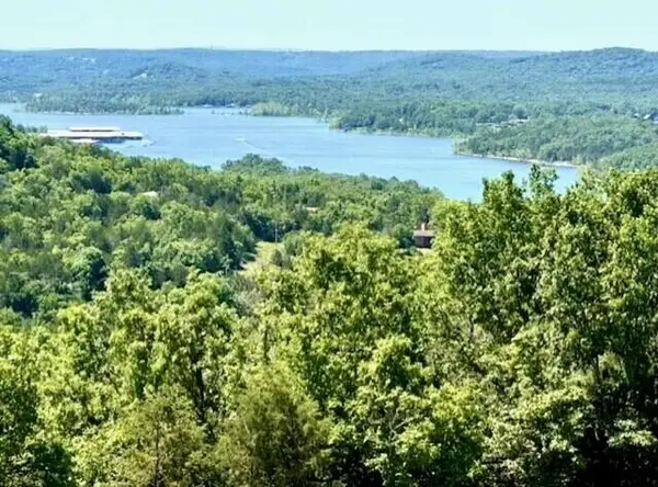 43 Songbird Circle #3, Branson, MO 65616