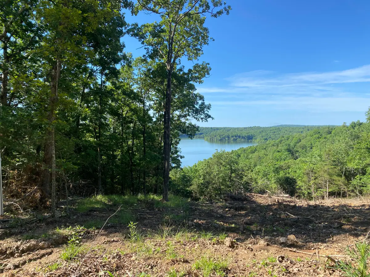 000 Driftwood Drive, Theodosia, MO 65761 - Image #1