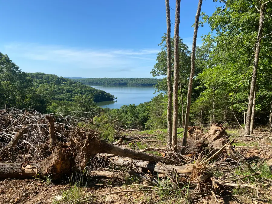 000 Driftwood Drive, Theodosia, MO 65761 - Image #2