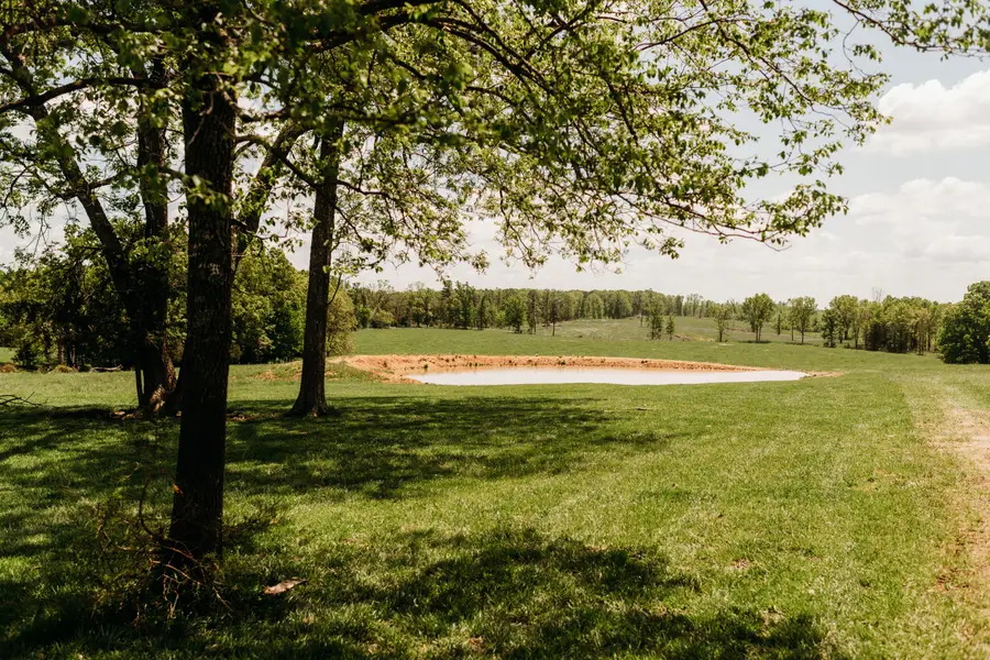 18348 Dixon Road, Licking, MO 65542 - Image #3