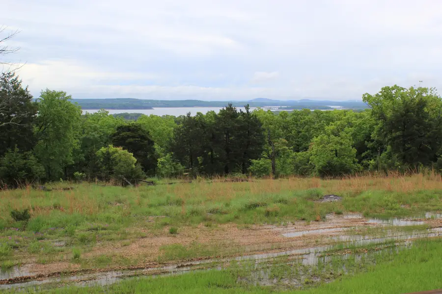 1427 Mc 164, Theodosia, MO 65761 - Image #3