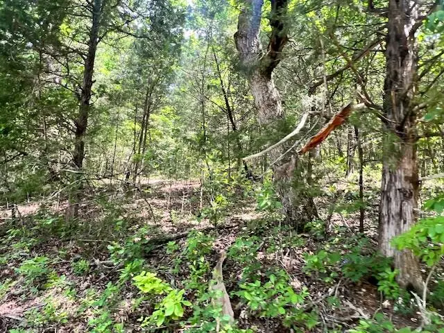 000 Missouri Line Road, Mammoth Spring, AR 72554 - Image #2