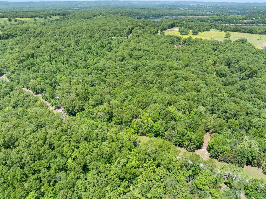 Tbd Pine Bluff Lane, Golden, MO 65658 - Image #2