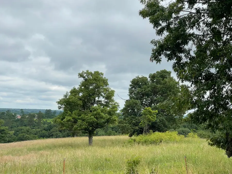 16.7 Ac Turkey Ridge Court, Pineville, MO 64856 - Image #2