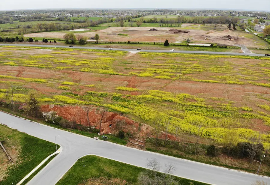 000 (Tbd) Highway 160 (14.8 Acres) Street, Nixa, MO 65714 - Image #3