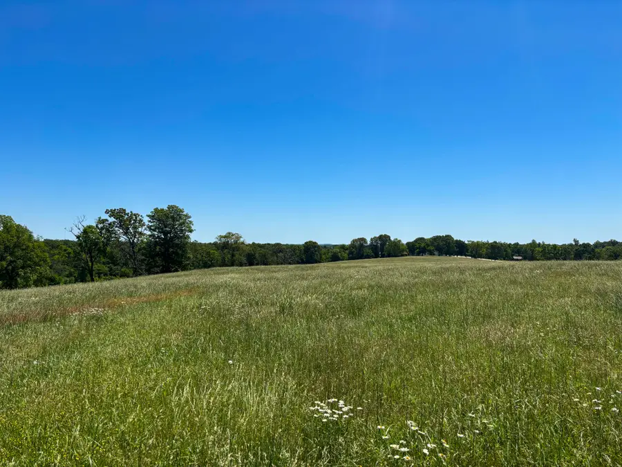 Tbd Highway 160, Theodosia, MO 65761 - Image #3