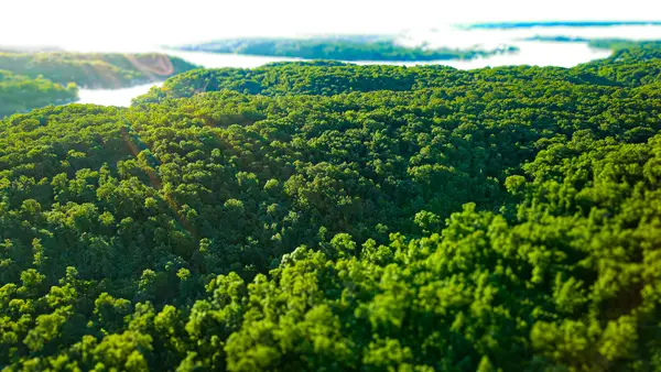 Tbd Sandy Road, Edwards, MO 65326