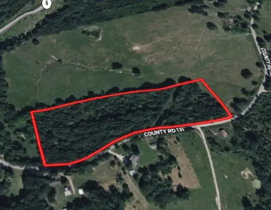 000 County Road 131, Wasola, MO 65773 - Image #3