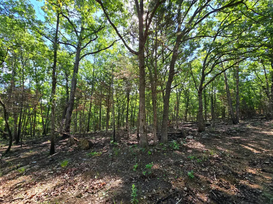 Lot 6 Block 12 Tall Oaks, Pittsburg, MO 65724 - Image #2