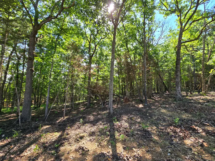Lot 6 Block 12 Tall Oaks, Pittsburg, MO 65724 - Image #3
