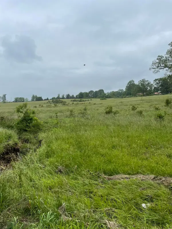 1007 S Jefferson #3, Ava, MO 65608