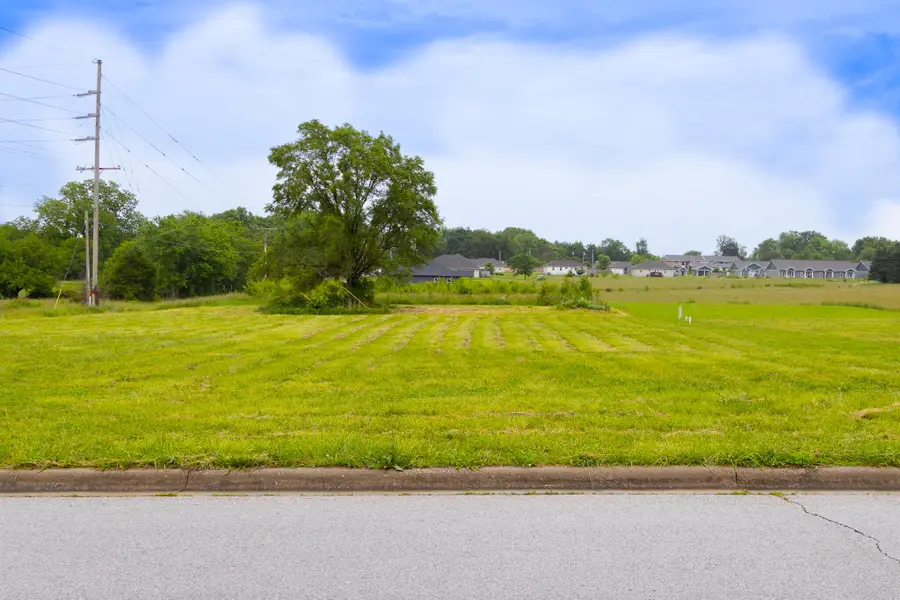 000 Holly Drive, Buffalo, MO 65622 - Image #2