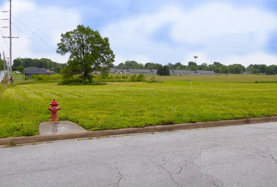 000 Holly Drive, Buffalo, MO 65622 - Image #3