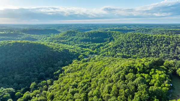 1219 Farm Road 2267,, Washburn, MO 65772