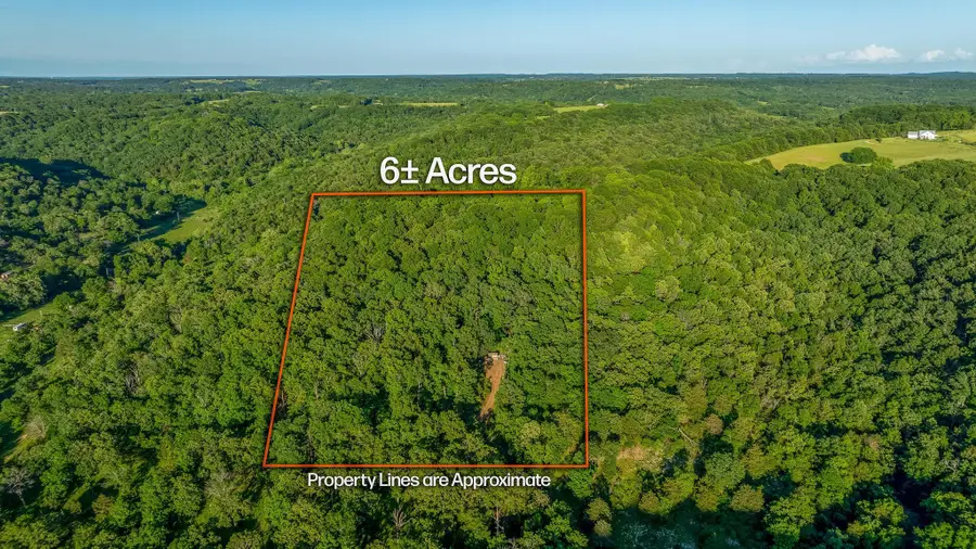 1219 Farm Road 2267,, Washburn, MO 65772 - Image #2