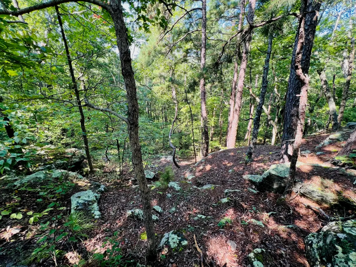 000 Boiling Springs Road, Licking, MO 65542 - Image #1