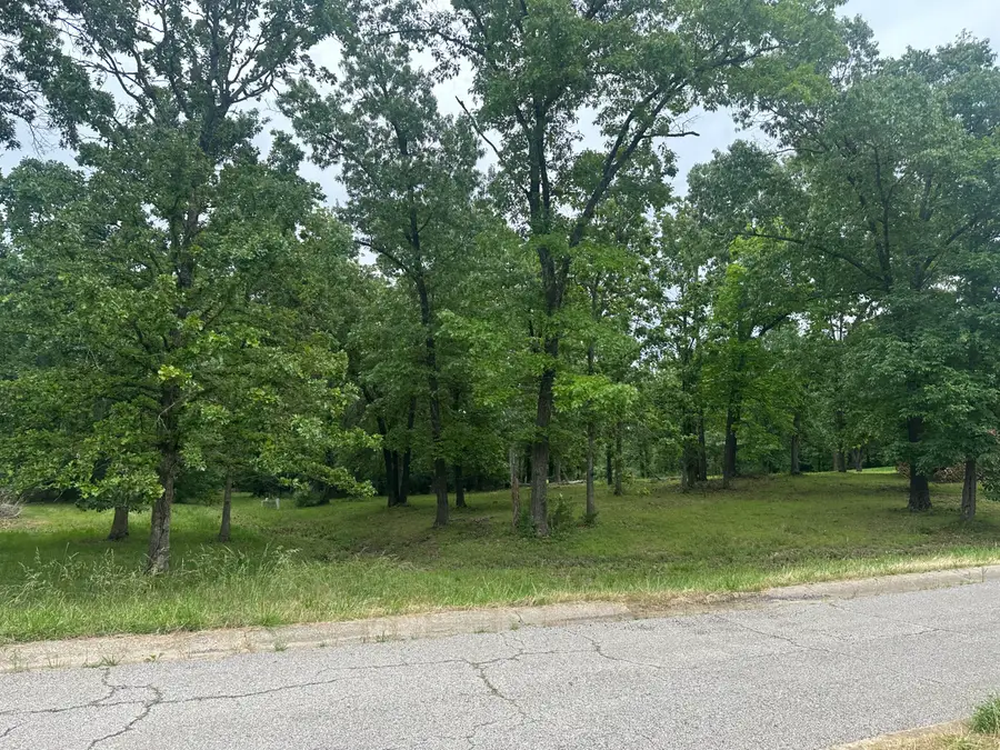 2035 Roberta Drive, West Plains, MO 65775 - Image #2