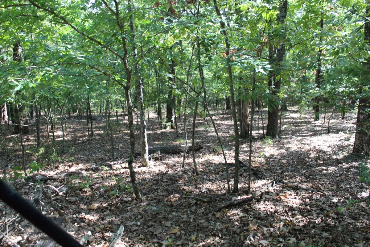 000 Lakeshore Road #Lot 41, Protem, MO 65733 - Image #1