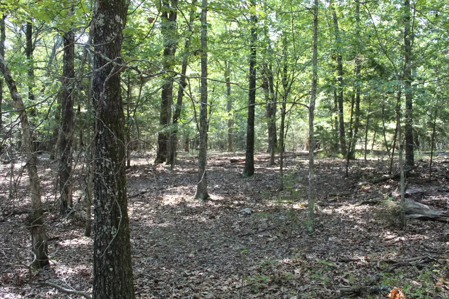 000 Lakeshore Road #Lot 41, Protem, MO 65733 - Image #3